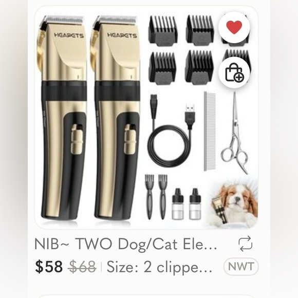 KITTIES & PUP PUPS 🐾 - Picture 4 of 7